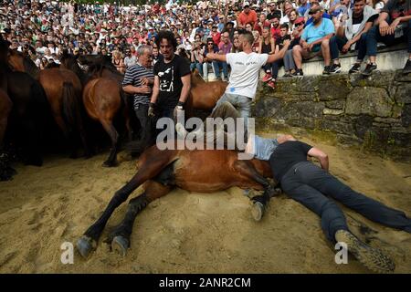 SABUCEDO, ESPAGNE - 6-7 juillet 2019 - La RAPA DAS BESTAS (Cisaillement des bêtes) 2019 tenue à Sabucedo Galice Espagne Banque D'Images