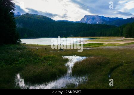 Différentes vues de l'ère glaciaire du lac Noir (Crno jezero), forêt et montagnes autour dans le parc national Durmitor au Monténégro, Europe Banque D'Images