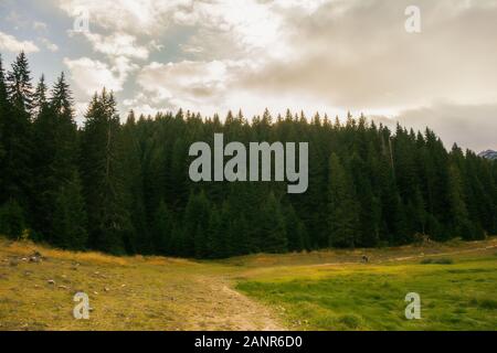 Différentes vues de l'ère glaciaire du lac Noir (Crno jezero), forêt et montagnes autour dans le parc national Durmitor au Monténégro, Europe Banque D'Images