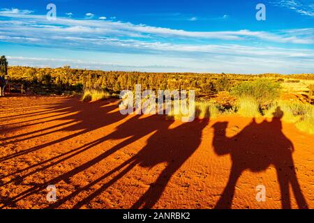 La visite au coucher du soleil à dos de chameau près d'Uluru crée des ombres spectaculaires sur la terre rouge. Yulara, Territoire Du Nord, Australie Banque D'Images