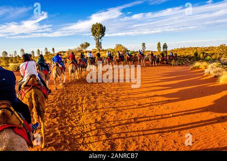 La visite au coucher du soleil à dos de chameau près d'Uluru crée des ombres spectaculaires sur la terre rouge. Yulara, Territoire Du Nord, Australie Banque D'Images