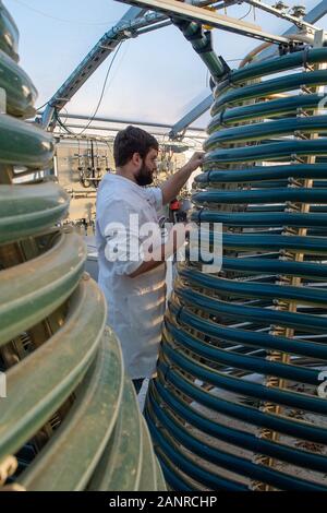 13 janvier 2020, la Saxe-Anhalt, Köthen : Christian Kleinert, étudiant au doctorat à l'Université des Sciences Appliquées d'Anhalt, située dans le département de la biotechnologie des algues, est debout dans l'usine pilote à côté du photobioréacteurs connu sous le nom de "sapin" des réacteurs. Il y a les algues sont produits qui sont nécessaires pour préparer les algues de la bière. Photo : Klaus-Dietmar Gabbert/dpa-Zentralbild/dpa Banque D'Images