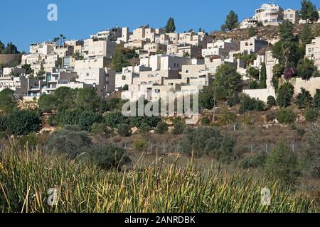 Quartier de Jérusalem Ouest construit sur une colline surplombant la vallée de Gazelle, une réserve naturelle urbaine en Israël Banque D'Images
