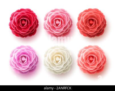 Ensemble vectoriel de fleurs de Camellia. Collection de fleurs de Camellia et de rose pour le printemps avec différentes couleurs pour la saison de printemps isolée en fond blanc. Vecteur Illustration de Vecteur