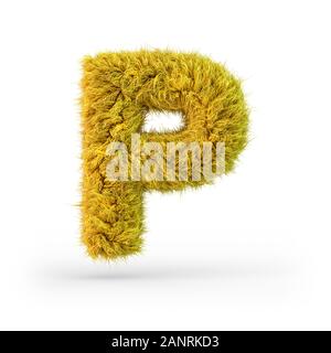 Lettre capitale P. en majuscules. Fluffy jaune et furry font. Le rendu 3D Banque D'Images