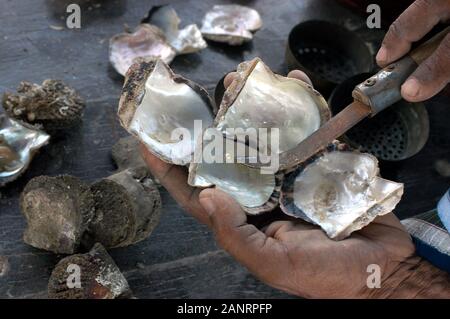 La collecte d'un pêcheur pearl Doha, Qatar. Banque D'Images