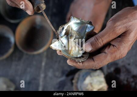 La collecte d'un pêcheur pearl Doha, Qatar. Banque D'Images