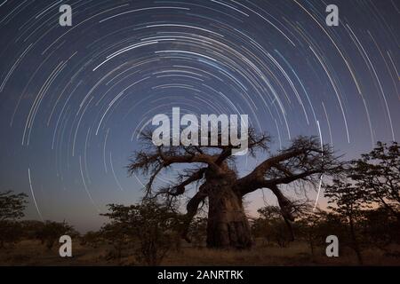 Startrails à Kukonje Island Banque D'Images