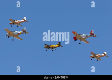 Commonwealth Aircraft Corporation CA-25 Winjeel aircraft à la tête d'une formation de l'ancien Royal Australian Air Force d'entraînement. Banque D'Images
