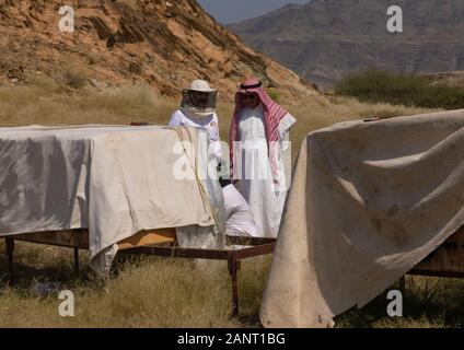 Les apiculteurs Arabie travaillant dans les ruches, la province de Jizan, en Arabie Saoudite, Addarb Banque D'Images