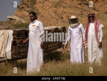 Les apiculteurs Arabie travaillant dans les ruches, la province de Jizan, en Arabie Saoudite, Addarb Banque D'Images