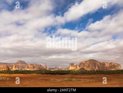 Palmiers dans l'oasis de Jebel Dedan, Al Madinah Province, alula, l'Arabie Saoudite Banque D'Images