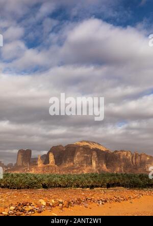 Palmiers dans l'oasis de Jebel Dedan, Al Madinah Province, alula, l'Arabie Saoudite Banque D'Images