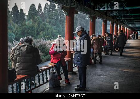 Beijing, Chine - Janvier 03 2019: Groupe de chinois jouant le jeu de cartes traditionnel pendant la journée au Temple du ciel. Banque D'Images