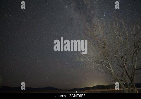 Voie lactée d'un arc sur un arbre sans feuilles sur la rive du lac Jindabyne avec la ville de Jindabyne en arrière-plan Banque D'Images