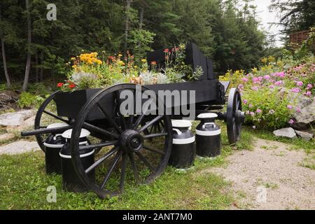 Wagon en bois noir planté avec du jaune - Tickseed Coreopsis, Gaillardia rouge - fleurs et Rudbeckia hirta 'Goldilocks - Coneflowers. Banque D'Images