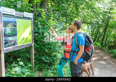 Randonnée en forêt près de shaddy parc naturel Altmühltal à Denkendorf Banque D'Images