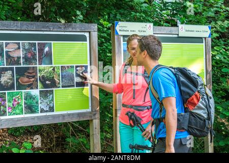 Randonnée en forêt près de shaddy parc naturel Altmühltal à Denkendorf Banque D'Images