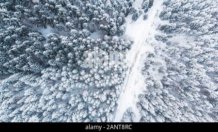 Country Lane Road en hiver la forêt enneigée, de haut en bas Vue aérienne. Banque D'Images