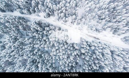 Country Lane Road en hiver la forêt enneigée, de haut en bas Vue aérienne. Banque D'Images