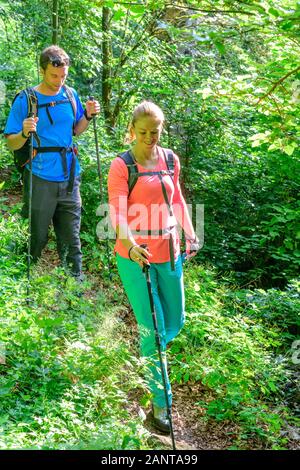 Randonnée en forêt près de shaddy parc naturel Altmühltal à Denkendorf Banque D'Images