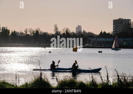 Woodberry Down Réservoirs, Londres, Royaume-Uni. 19 janvier 2020. Soleil d'hiver à la Woodberry Down les réservoirs et les terres humides au nord de Londres. Crédit : Matthieu Chattle/Alamy Live News Banque D'Images