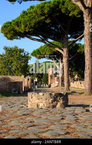 Rome. L'Italie. Ostia Antica. Decumanus Maximus, le principe voie romaine dans l'est la moitié d'Ostie. Il s'étend de l'est à l'ouest, à partir de la Porta Rom Banque D'Images