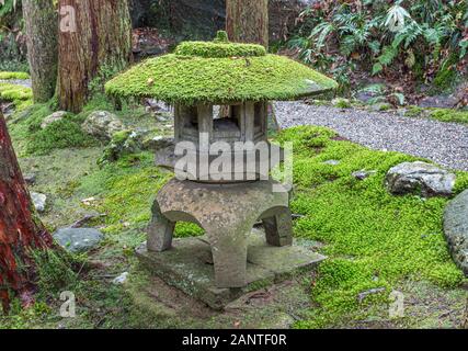 À la lanterne de pierre Hiyo Jardin Moss dans la forêt de la sagesse, de la préfecture d'Ishikawa, Japon. Banque D'Images