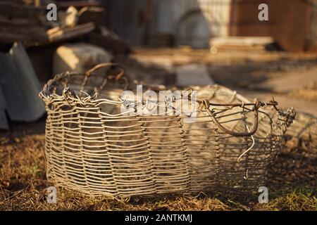 Ancien panier en osier faits de fils d'aluminium dans un milieu rural yard. Banque D'Images