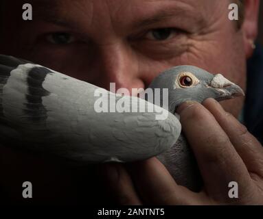 Timmy Mawhinney holding sa catégorie de 200 milles, champion racing pigeon, au cours de la monde Homing Show de l'année, le plus grand spectacle pigeon de son genre en Europe, à l'Jardins d'hiver de Blackpool. Banque D'Images