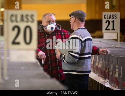 Parler de deux hommes entre les rangées de pigeons au cours de la monde Homing Show de l'année, le plus grand spectacle pigeon de son genre en Europe, à l'Jardins d'hiver de Blackpool. Banque D'Images