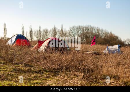 Harvil Road, Denham, Buckinghamshire, Royaume-Uni. 19 janvier 2020. Quatre tentes plantées dans un champ herbeux avec une végétation hivernale sèche et des arbres sans feuilles ; un drapeau rose arborant un symbole de protestation planté à côté des tentes ; la scène suggère une manifestation environnementale ou un campement d'action directe lié à l'activité HS2 près de Harvil Road. Penelope Barritt/Alamy Live News Banque D'Images