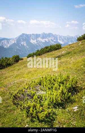 Vue depuis Mountain Hochobir en Carinthie, Autriche pour Karawanks sur Border à la Slovénie sur un jour d'été ensoleillé Banque D'Images