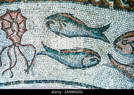 Trévise, ancien sol en mosaïque romaine, datant du troisième siècle de l'AD, Italie Banque D'Images