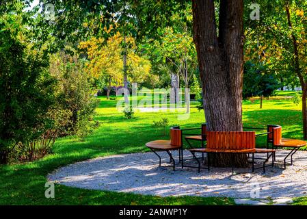 Parterres, voie d'herbe et de plantes ornementales dans un vase de jardin formel. Banque D'Images