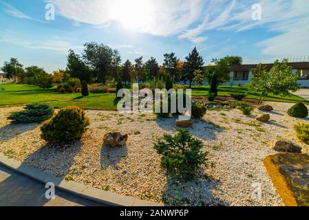 Parterres, voie d'herbe et de plantes ornementales dans un vase de jardin formel. Banque D'Images