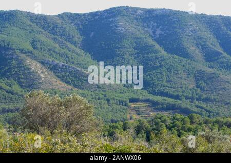 Vue panoramique sur la chaîne de montagnes de l’Irta (parc naturel de la Serra d’Irta) dans la région de Valence (est de l’Espagne) Banque D'Images