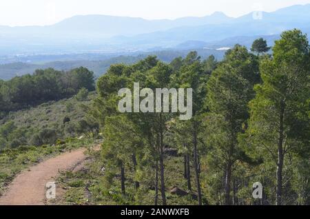 Vue panoramique sur la chaîne de montagnes de l’Irta (parc naturel de la Serra d’Irta) dans la région de Valence (est de l’Espagne) Banque D'Images