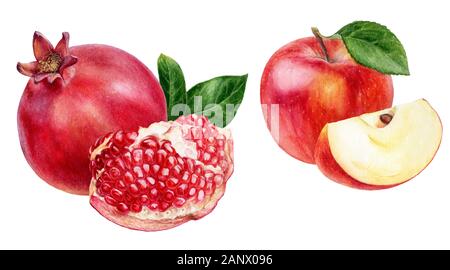 Pomegranate pomme set aquarelle isolée sur fond blanc Banque D'Images