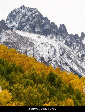 Des bandes jaune et vert de remplir le stand tremble sous le sommet du mont Sneffels le long du ruisseau de Dallas dans l'Uncompahgre National Forest, Colorado Banque D'Images