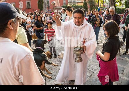 Un prêtre catholique bénit les chiens et leurs propriétaires au cours de la bénédiction annuelle des animaux pendant la fête de San Antonio Abad à l'Oratorio de San Felipe Neri, 17 janvier 2020 l'église dans le centre historique de San Miguel de Allende, Guanajuato, Mexique. Banque D'Images