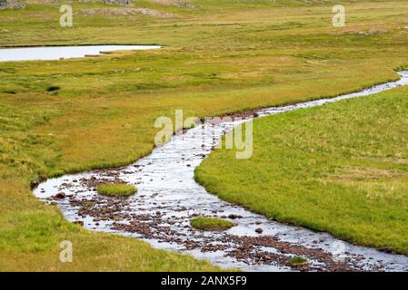 Montagne ruisseau qui serpente à travers un paysage de toundra, les rives du ruisseau couvert d'herbe verte, la croissance de la Norvège Finnmark Banque D'Images