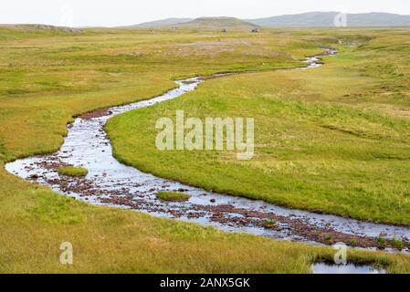 Montagne ruisseau qui serpente à travers un paysage de toundra, les rives du ruisseau couvert d'herbe verte, la croissance de la Norvège Finnmark Banque D'Images