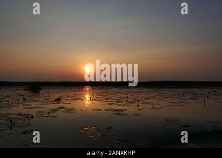 Silhouette des arbres et plantes de l'eau et le reflet dans le lac au coucher du soleil, zone humide à Khao Sam Roi Yot National Park, Thaïlande Banque D'Images