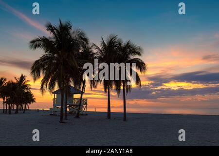 Palmiers au lever du soleil à Miami Beach, Floride. Banque D'Images