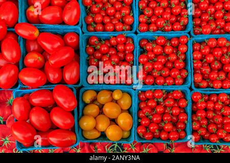 Sélection de vignes mûries et tomates cerises jaunes et à un étal dans un marché de producteurs à l'extérieur de Manhattan, New York, USA Banque D'Images