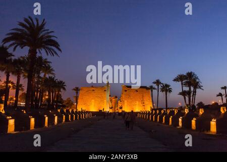 Éclairage sur la première avenue phylon et sphinxes en soirée crépuscule, Temple Louxor, Louxor, Egypte, Afrique du Nord, Afrique Banque D'Images