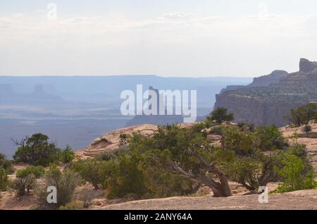 Début de l'été en Utah : la tour du chandelier Vue De Près de la rivière verte Donne sur l'île dans le Sky District du parc national de Canyonlands Banque D'Images