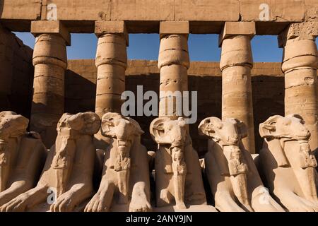 Temple de Karnak, sphinx à tête de RAM et colonnade, à la grande cour, Louxor, Egypte, Afrique du Nord, Afrique Banque D'Images