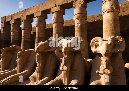 Temple de Karnak, sphinx à tête de RAM et colonnade, à la grande cour, Louxor, Egypte, Afrique du Nord, Afrique Banque D'Images